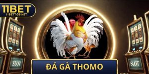 Đá Gà Thomo