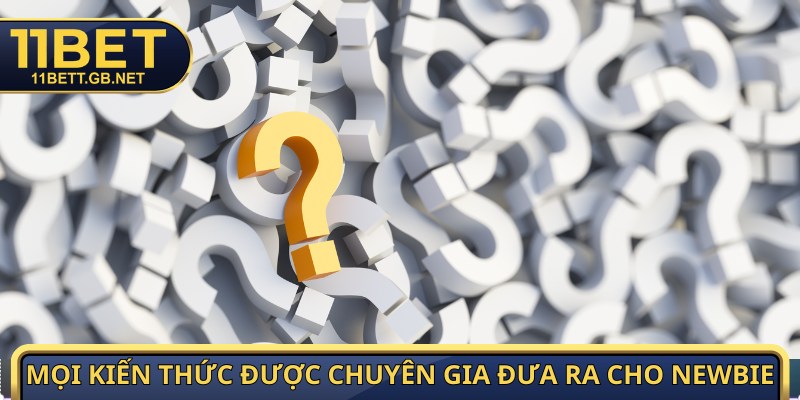 Mọi kiến thức được chuyên gia đưa ra cho newbie