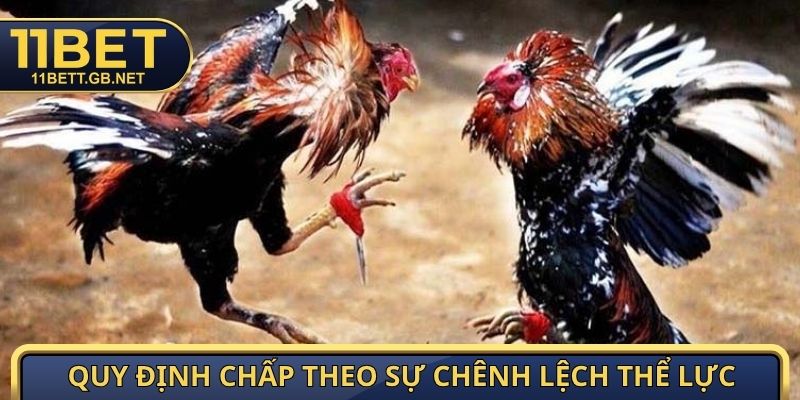 Quy định chấp theo sự chênh lệch thể lực