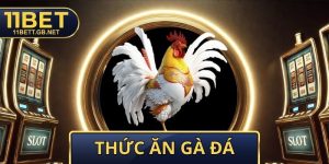 Thức Ăn Gà Đá